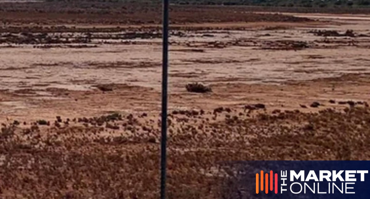 Metal Hawk refining drill targets with gravity survey at Leinster South